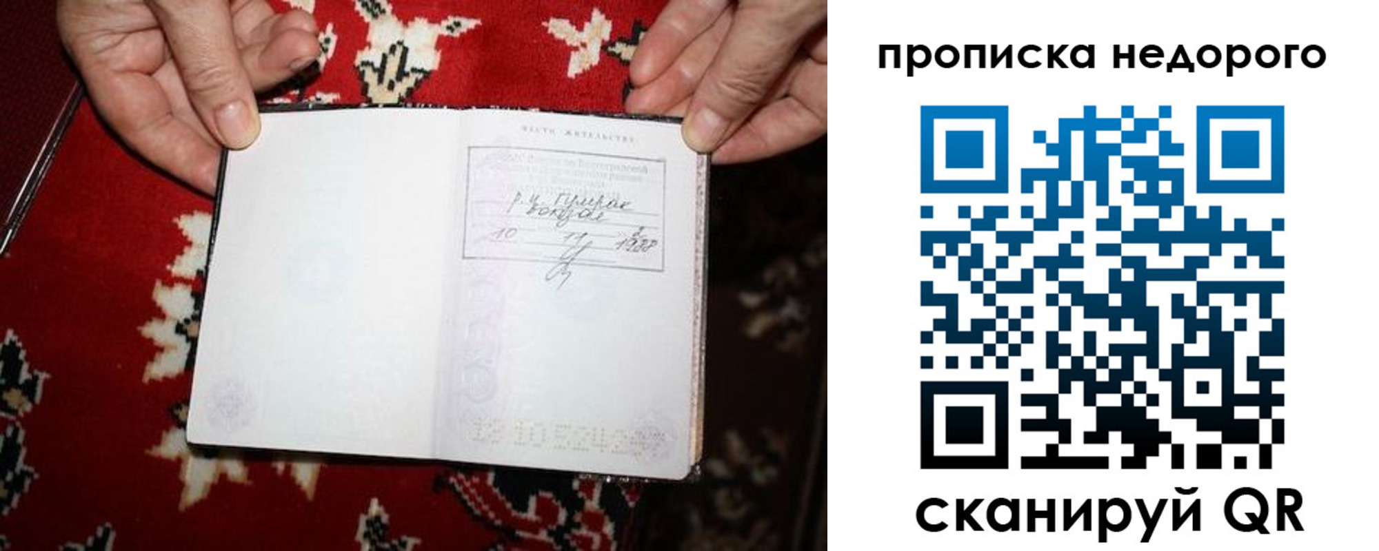 прописка гарантия в Новоузенске